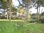 Immagine 19