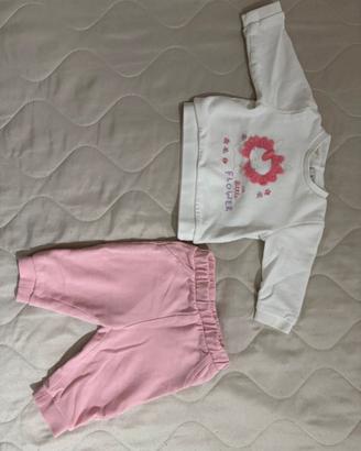Comoletino neonata