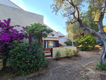 Appartamento castiglione della pescaia