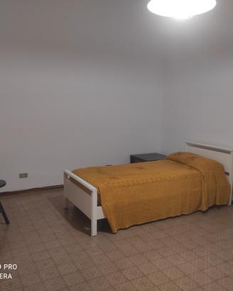 Stanza in appartamento in codivisione