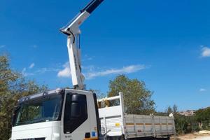 CAMION GRU IVECO MAGIRUS 190E31