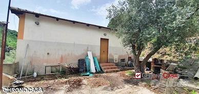 Castanea casa indipendente con terreno rif