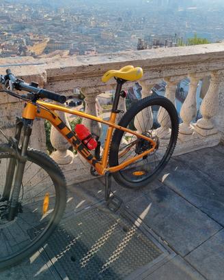 Bici mtb