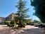 Immagine 7
