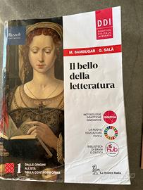 Il bello della letteratura 1
