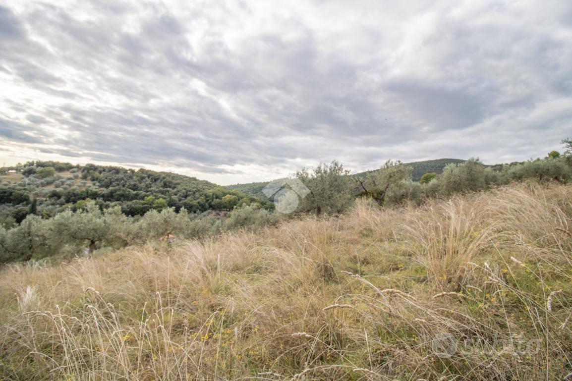 TER. AGRICOLO A TORRI IN SABINA - Altro