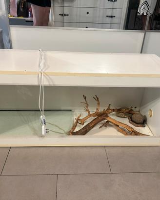 Terrario in legno