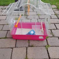 gabbia per canarini e pappagalli con accessori