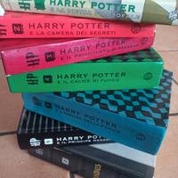 Harry Potter serie completa copertin RIGIDA SALANI