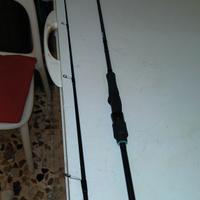 canna da pesca daiwa