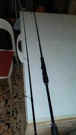 canna da pesca daiwa