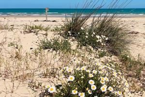 4 locali San Salvo Marina(CH)