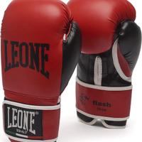 guantoni da boxe e fasce elastiche