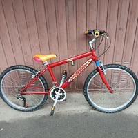 BICICLETTE TRE CON CAMBI 24 POLLICI 