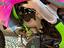 Immagine 5