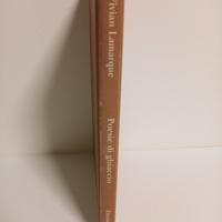 Poesie di ghiaccio   Einaudi ragazzi 