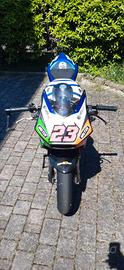 Minigp 10" GRC GP-10