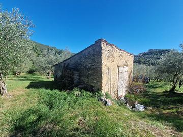 Singola a Lugnano in Teverina
