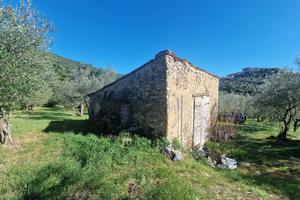 Singola a Lugnano in Teverina