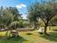 Immagine 19