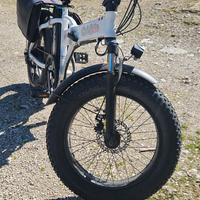 bicicletta elettrica 