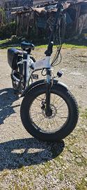 bicicletta elettrica 
