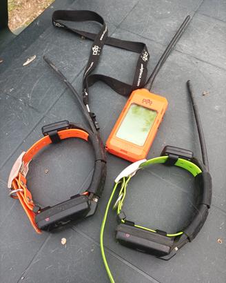 GPS per cani