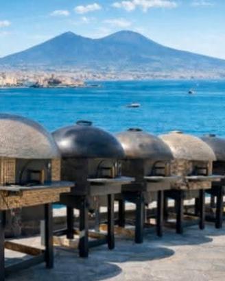 Forno pizza Napoletano per esterno. Legna o gas