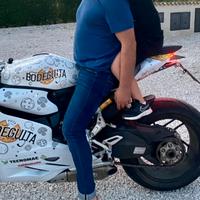 Carene vetroredina ducati panigale 1199