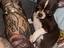Immagine 1