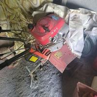 motozappa benassi honda bl 85 h