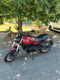 Benelli Leoncino 500 - 2022 4500 trattabili