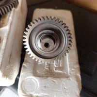 rapporti primari Vespa et2