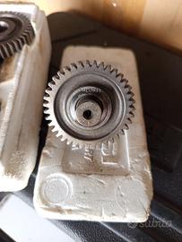 rapporti primari Vespa et2