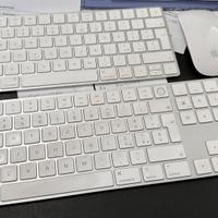 Apple Magic Mouse + Magic Keyboard Fatturabili