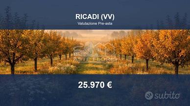 Immobile in asta di 925 m² a Ricadi