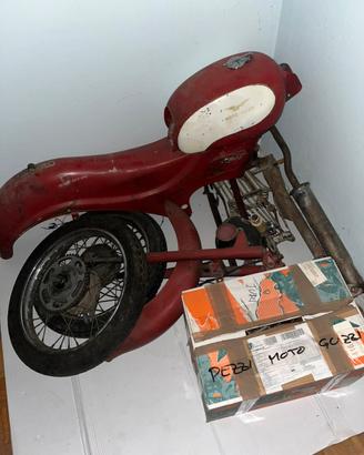 Moto guzzi Zigolo 98