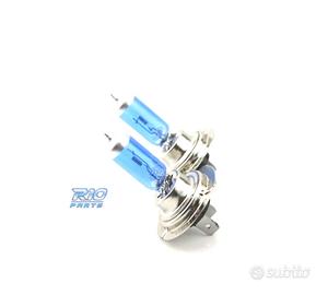 LAMPADE H7 EFFETTO XENON