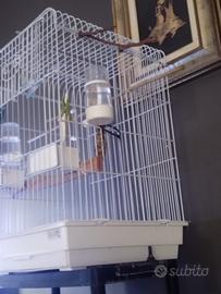 gabbia per allevati a mano