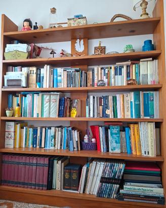 Libreria stile Svedese artigianale anni 80