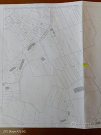 Terreno agricolo a Borso del Grappa