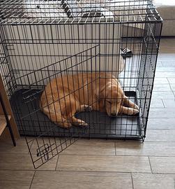 Kennel per cani di taglia grande