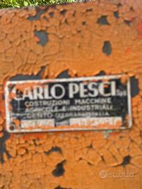 Frangizolle trainato