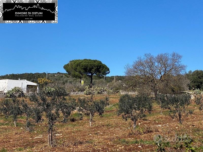 TERRENO FRONTE STRADA 1.5Ha - OSTUNI - Vista 2