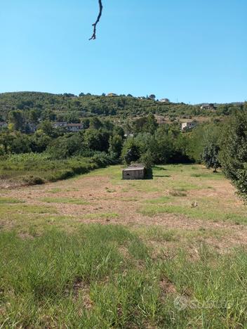 Terreno agricolo