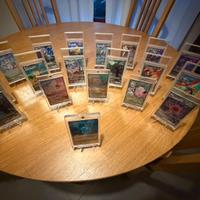 19 Carte pokemon da esposizione non originali