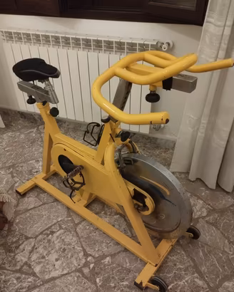 Cyclette professionale 