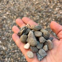 Ciotoli di fiume per guardino o arredo esterno