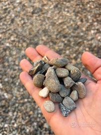 Ciotoli di fiume per guardino o arredo esterno