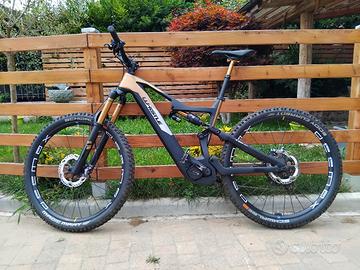 E-bike whistle b-rush c7.4X carbon
